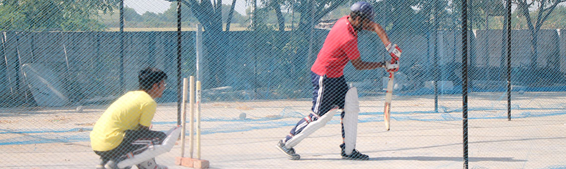 Cricket Game